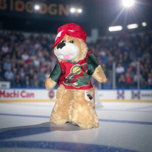 NWT NHL MN Wild Hockey Bear Jersey & Bucket Wild Hat Stuffed Bear 6” P18